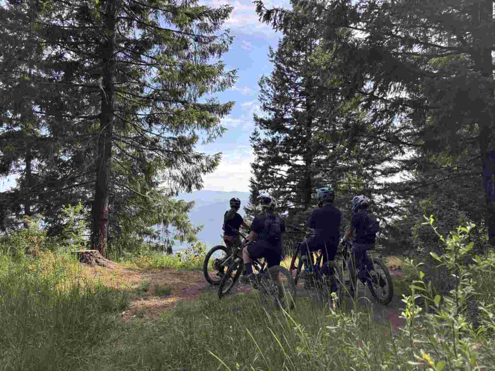 mountain bike enthusiasts waiting to descend a trail