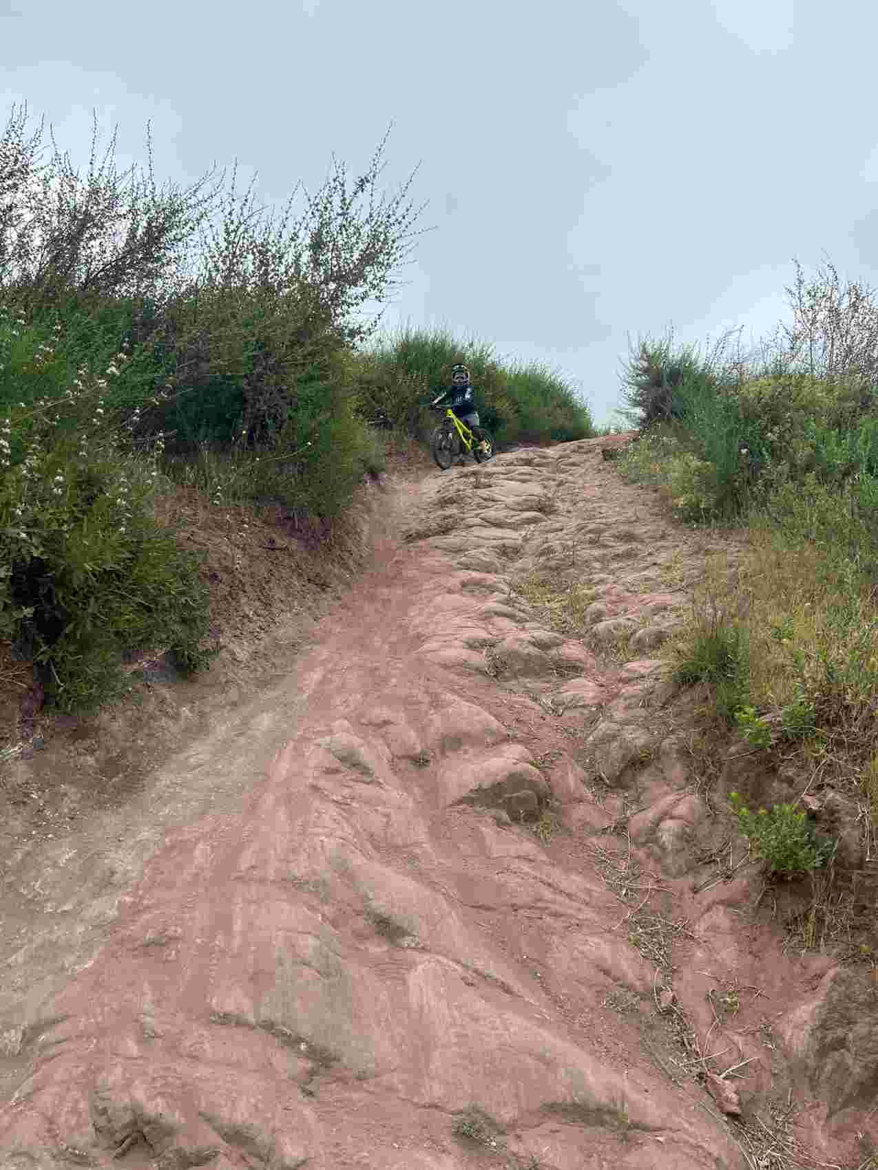 Singletrack trail at Santiago Oaks Regional Park, site of ST Tuned's on-trail MTB suspension setups